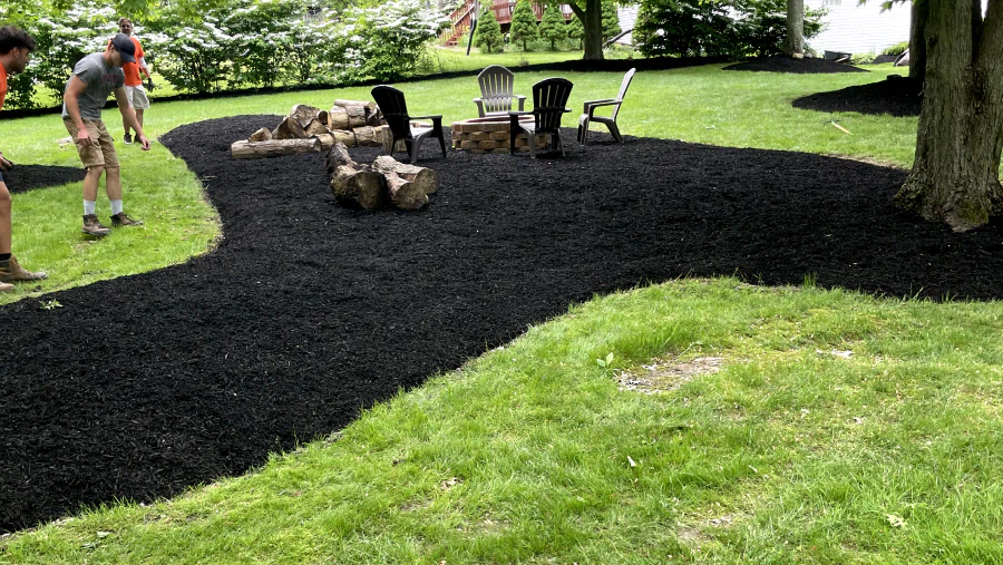 newly installed lawn in a backyard