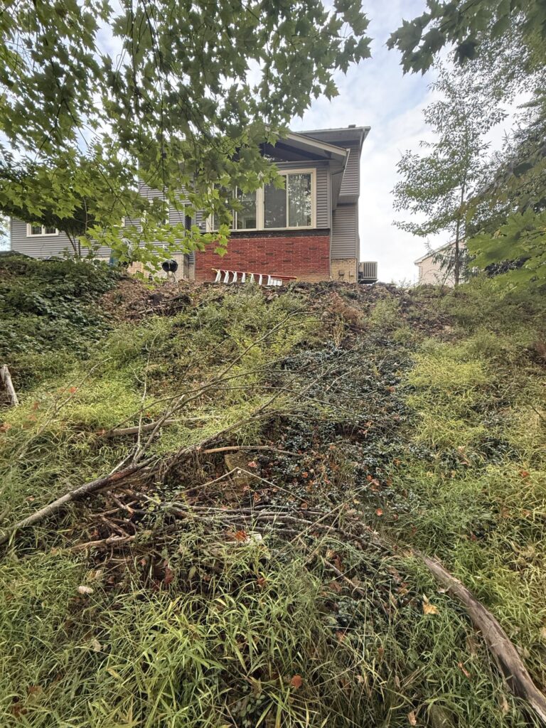A hillside view leading up to a house. The foreground features overgrown grass, fallen branches, and some low vegetation. Behind the hill, a house with red brick and gray siding is visible, partially obscured by tree branches. The sky is partly cloudy, and there are trees surrounding the house.