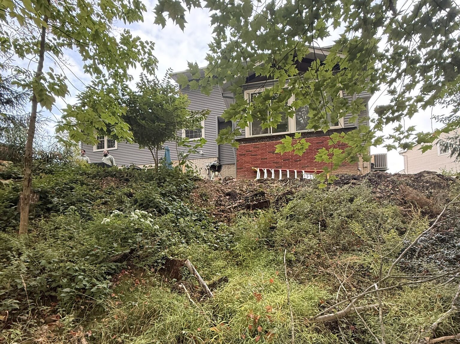 A suburban backyard featuring a house with a combination of red brick and gray siding. The scene includes lush greenery, trees, and overgrown plants in the foreground. The house has a large window and is partially obscured by leaves from nearby trees. Two people are visible near the house, suggesting a residential setting.