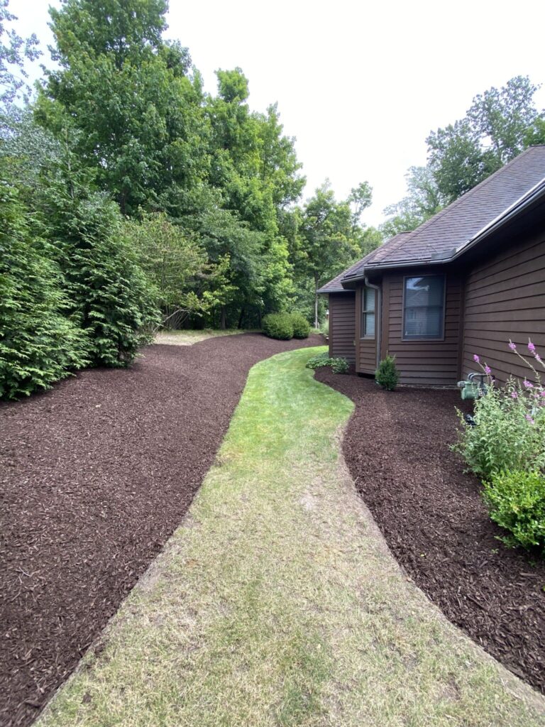 A landscaped backyard featuring a narrow path of green lawn bordered by dark brown mulch. On the right, a brown house with windows is partially visible, while lush green foliage and tall trees are on the left. The sky is overcast, casting a soft light over the scene.
