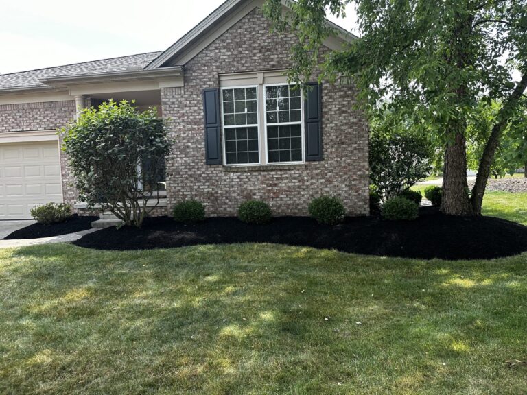 Front view of a brick house with a large window, surrounded by well-manicured landscaping. The yard features a neatly trimmed lawn and several bushes, with a tree on the right side. There is a black mulch bed around the plants and against the house wall, enhancing the overall appearance.