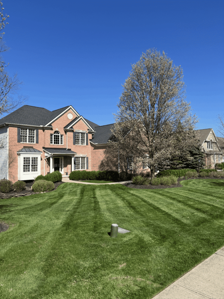 A large, two-story brick house with multiple windows and a dark roof is surrounded by a well-maintained green lawn. A tall tree is visible near the right side of the house, and the sky is clear and bright blue, indicating a sunny day.