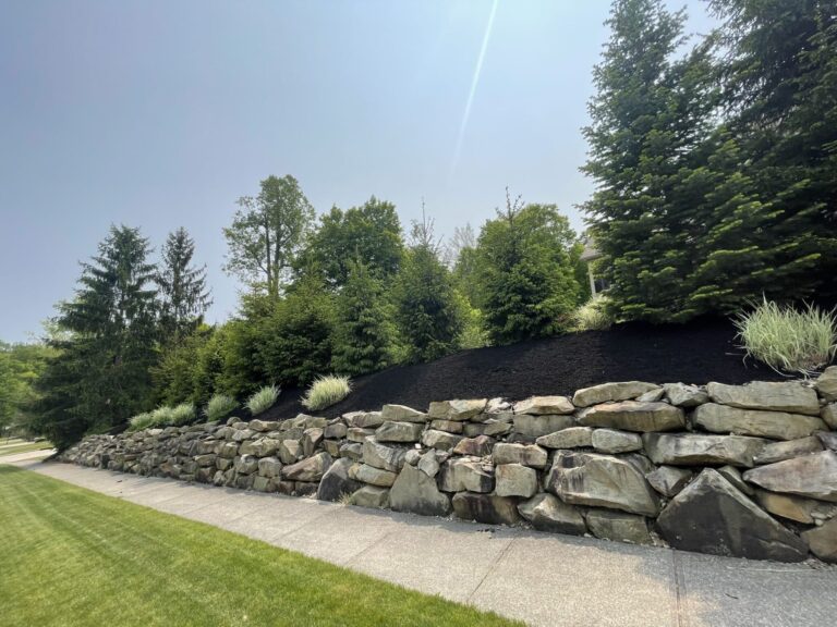 Image of a landscaped garden featuring a stone retaining wall with a row of tall evergreen trees and shrubs on top. The foreground includes a well-manicured lawn and a paved sidewalk adjacent to the wall, under a clear blue sky.