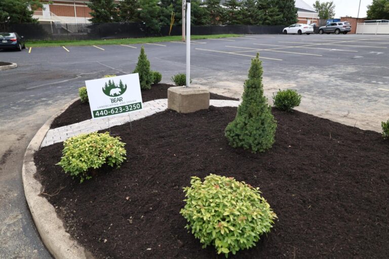 A landscaped area in a parking lot with mulched soil featuring small bushes and conical evergreen shrubs. A sign with the logo and contact information for Bear Landscaping and Design is prominently displayed on the mulch. The background shows a parking lot with several parked cars and a building with a staircase.