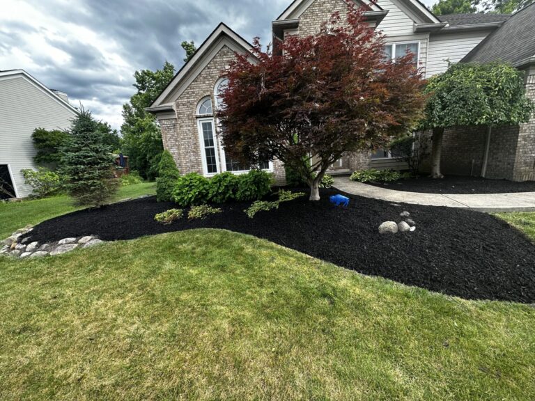 A modern suburban house with a well-maintained lawn and garden. The landscape features a prominent red maple tree surrounded by black mulch, various green shrubs, and decorative stones. The house is made of brick and has a large arched window. The sky is overcast, adding a dramatic effect to the image.