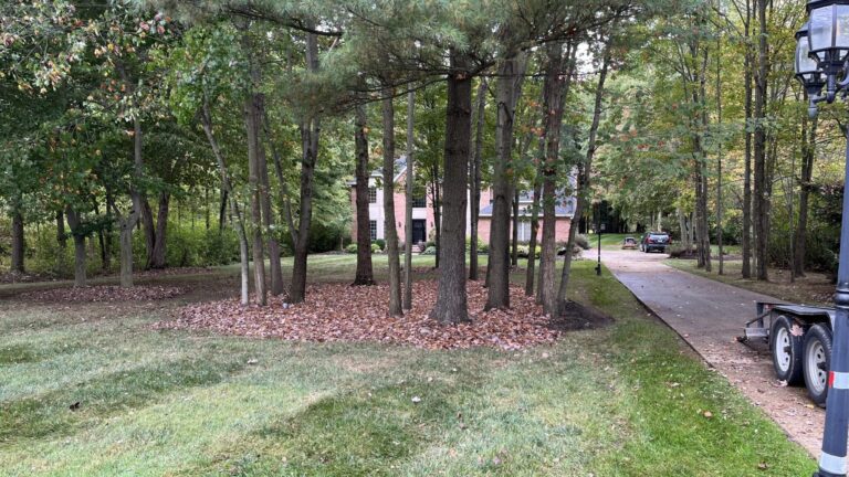 A suburban scene featuring a two-story brick house partially visible through a cluster of tall trees. The ground is covered with brown fallen leaves, and a driveway leads up to the house with a car parked in the distance. A lamp post and a trailer are visible near the driveway, and the surrounding greenery suggests a peaceful, wooded neighborhood.
