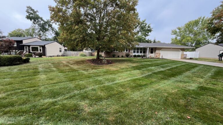 A suburban home with a neatly manicured lawn and large tree in the front yard. The house has a beige exterior, large windows, and an attached garage. There are ornamental plants lining the house and tall trees in the background, providing a serene and well-maintained residential setting.