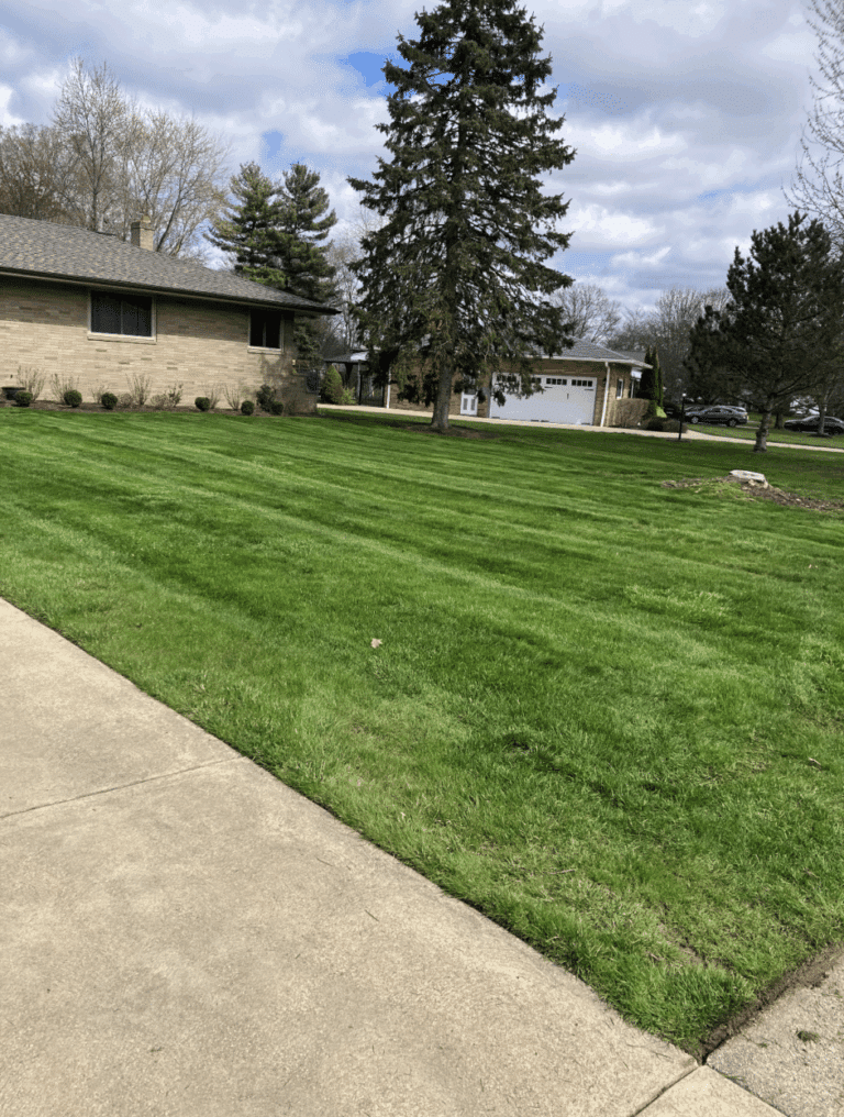 A neatly maintained suburban yard with vibrant green grass, a large evergreen tree, and a light brick house on the left. The sky is partly cloudy, and a concrete sidewalk runs along the edge of the lawn.